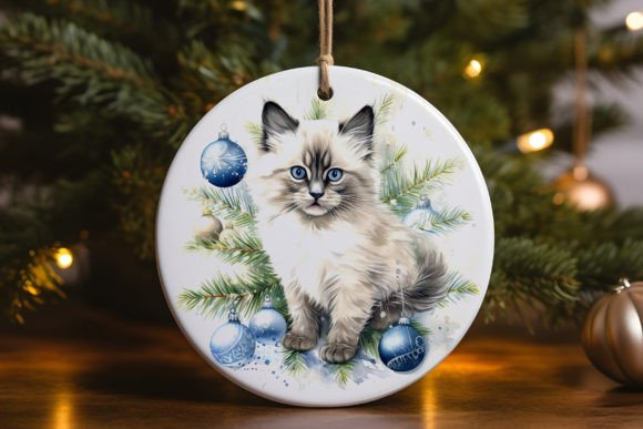 Birman Kitten Christmas