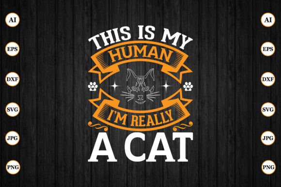 This is My Human Im Really a Cat